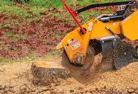 Best Leaf Removal  in Belford, NJ