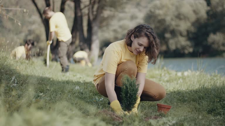 Best Lawn Drainage Solutions  in Belford, NJ